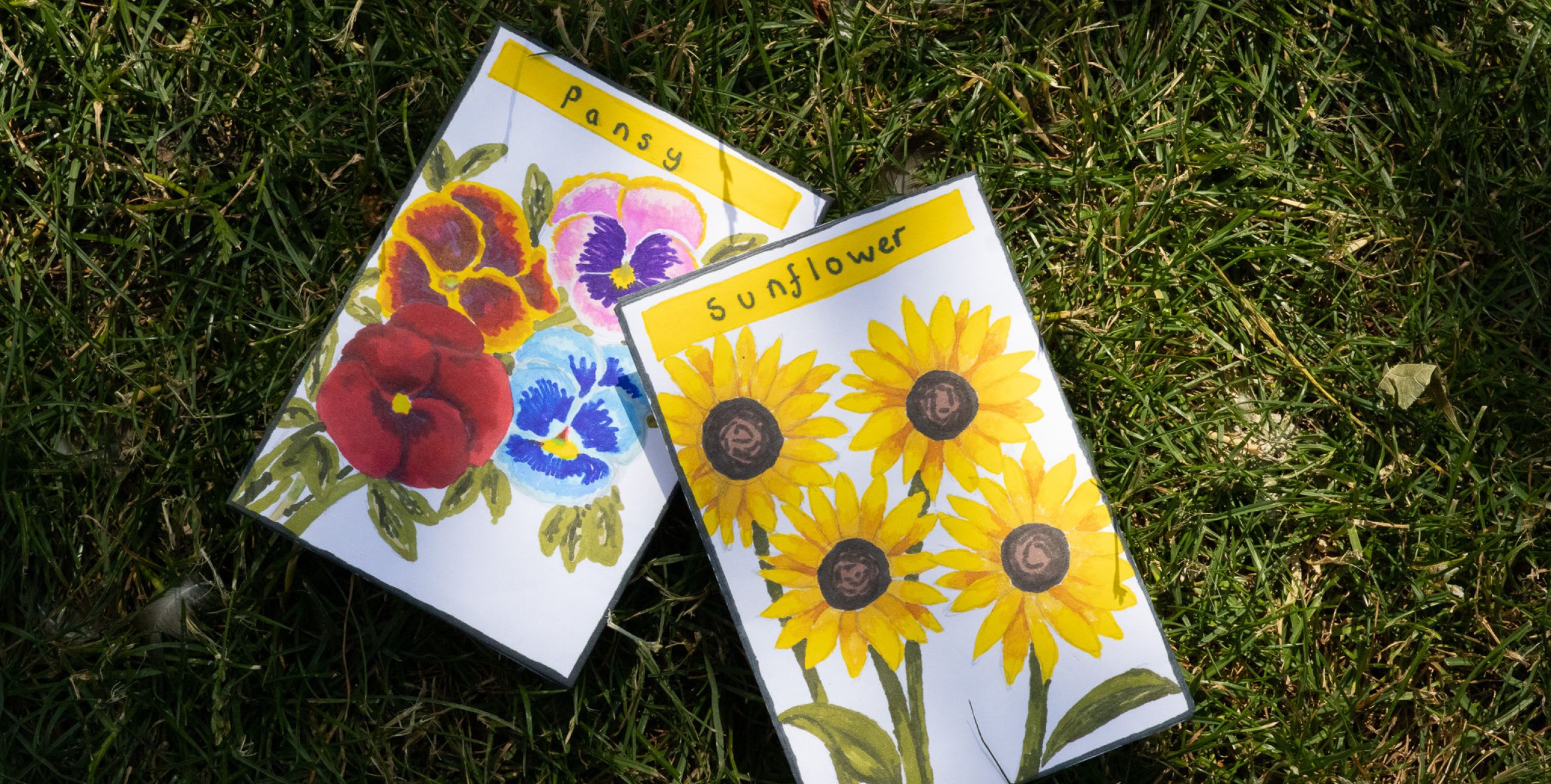 Drop-In Making Activities: Seed Packet Designer
