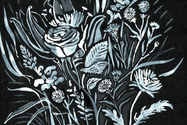 Still Life Drawing with Vanessa Stone: Inky Whites