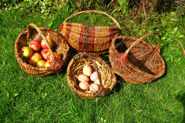 Make a Willow Basket with Alison Walling