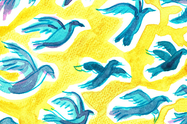 Still Life Drawing with Vanessa Stone