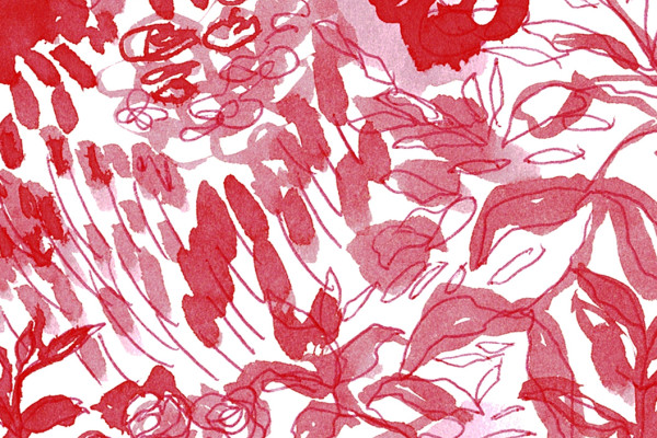 Still Life Drawing with Vanessa Stone: Fiery Reds